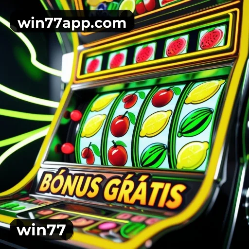 Suporte 24 horas win77